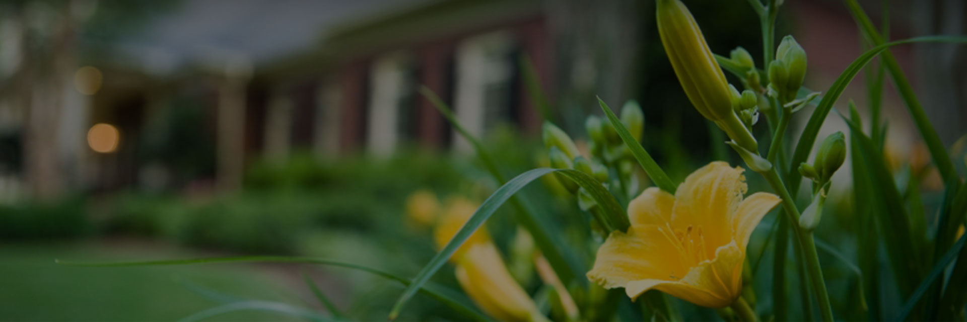 Évaluation monétaire des végétaux pour assurances